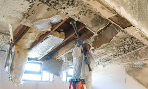 Best Emergency Mold Remediation  in Smithville, TX